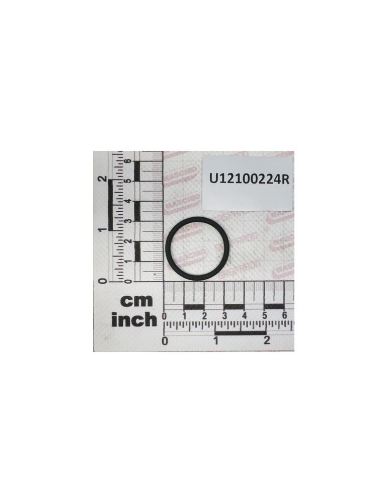 GUOR.$26,65X31,89X2,62 VITON