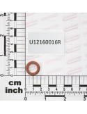 GU GACOFT 12X17X3.8 VITON