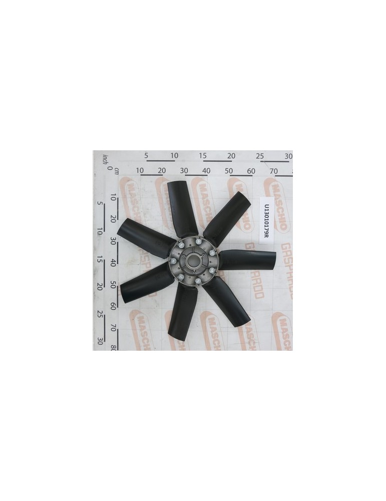 FAN $700/7P 35Â°NY MOZZO FR