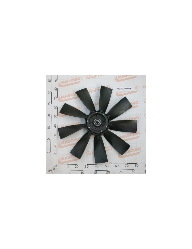 FAN $800NY/9P CCW(ANTIOR)FVM X