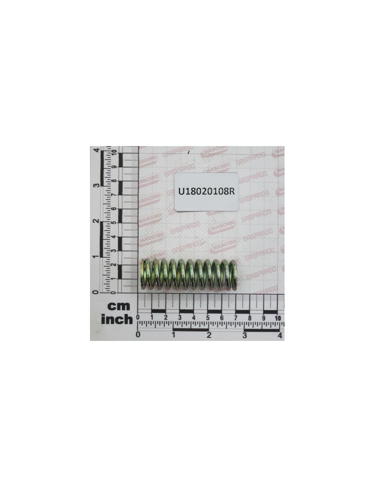 SPRING INOX PIN GENERALE