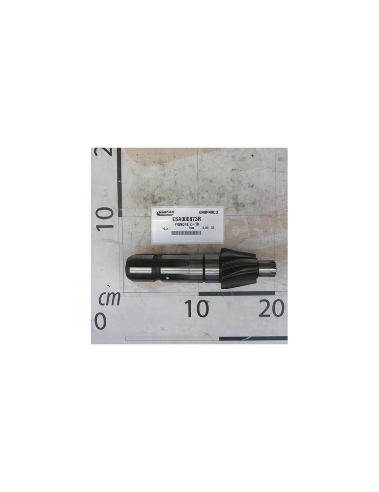 PINION Z-10