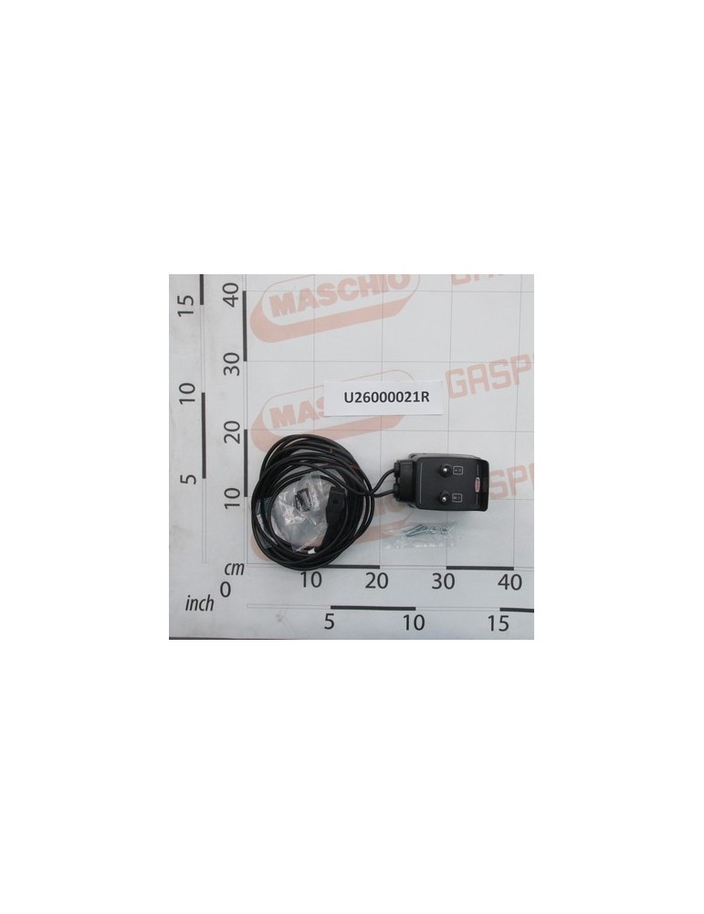 PUSHBUTTON 2 SWITCH  466