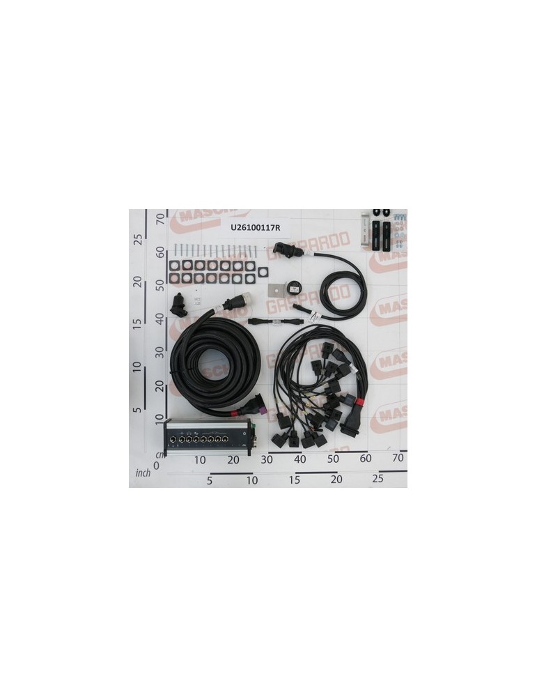 BOX 800 OIL 7+TF (1EVG)