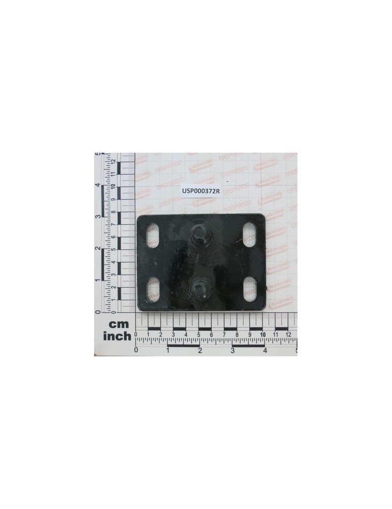 PLATE PORTAMORSETTO X ST