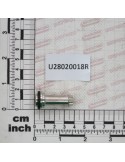 HOSE FITT MALE D10 - BRASS