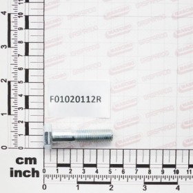 SCREW M10X1,5X45