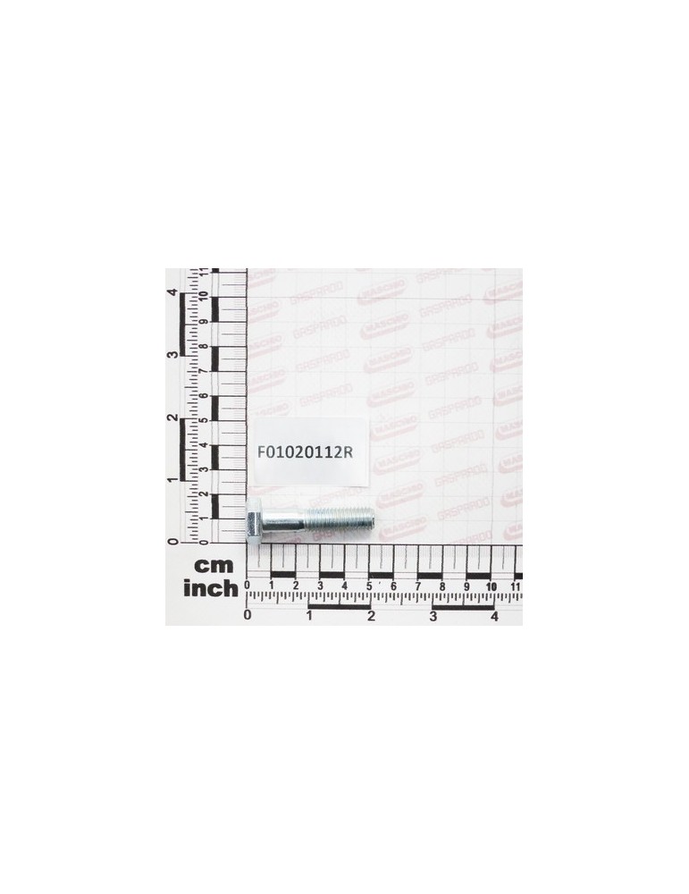 SCREW M10X1,5X45