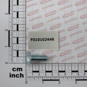 SCREW M10X1,25X25