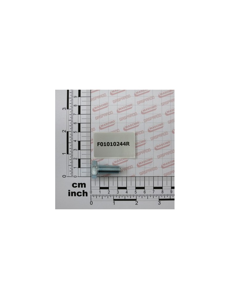 SCREW M10X1,25X25