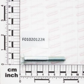 SCREW M10X1,5X70