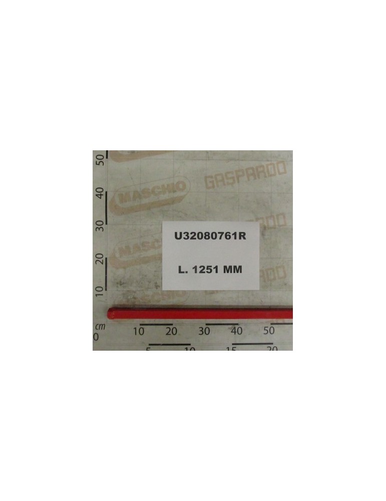 REGGICIST TUBE LOW C22-32