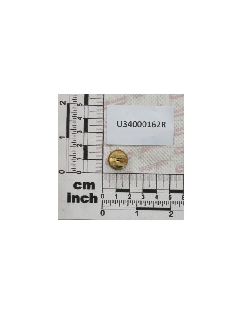 NZ PUNT ECC OC 03 OTTONE