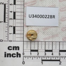 NZ PUNT ECC OC 08 OTTONE