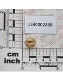 NZ PUNT ECC OC 08 OTTONE