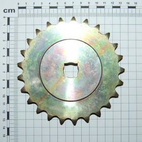 PINION Z-25 ZN.