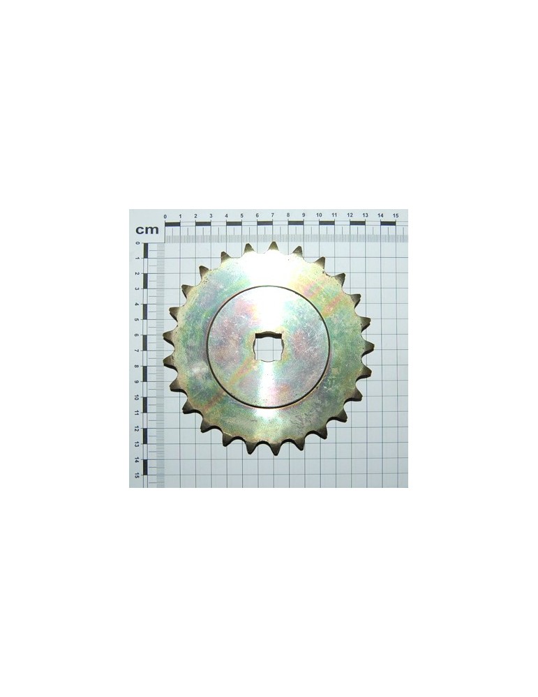 PINION Z-25 ZN.