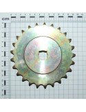 PINION Z-25 ZN.