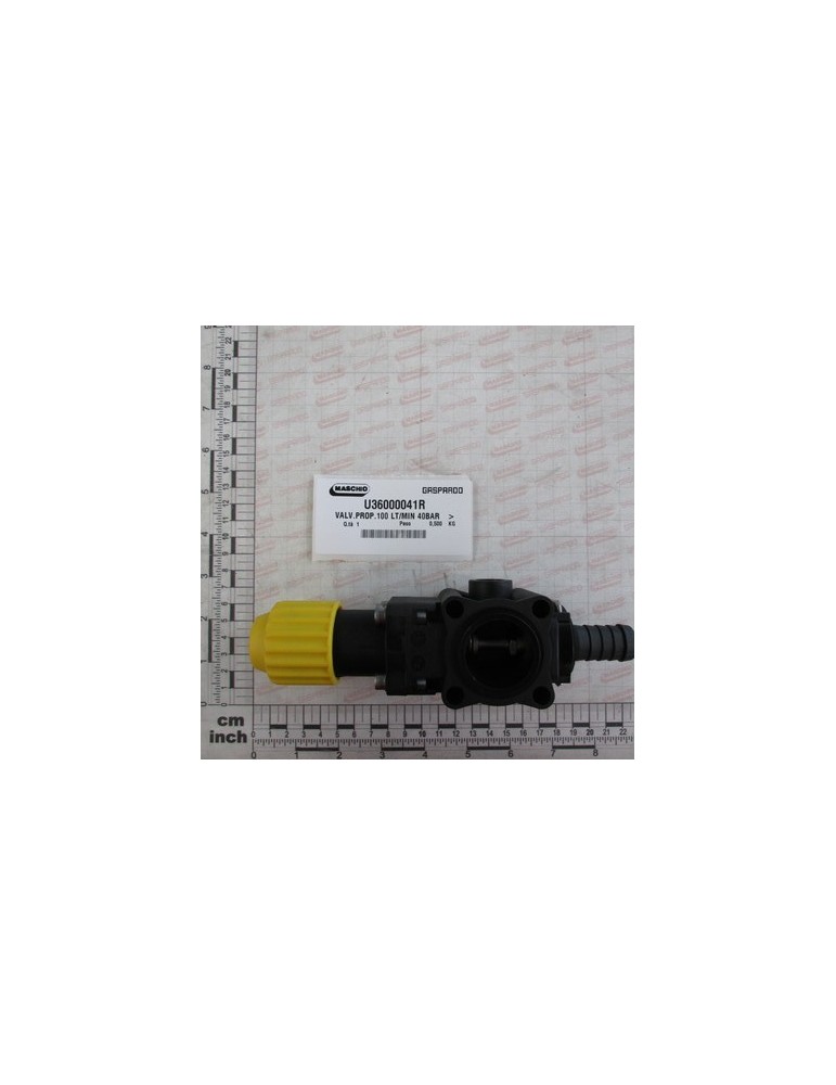 VALVE PROP.100 LT/MIN 40BAR