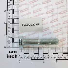 SCREW M14X2X70