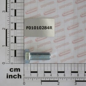 SCREW M12X1,25X 30