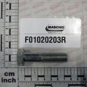 SCREW M14X2X60