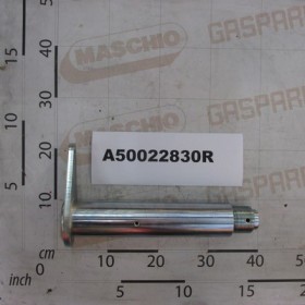 UNICO ARM FIXING PIN