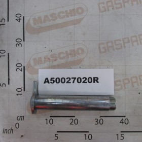 PIN ASS.D.55 L-235 LG-301