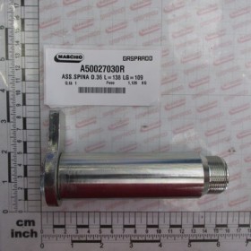 PIN ASS.D.36 L-138 LG-109