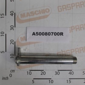 PIN ASS.D.55 L-355 W.MIRCO