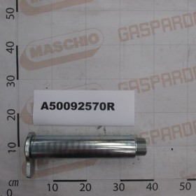 GALV.PIN ASS.D.65 L-283