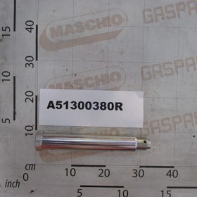 GALV.PIN D.45 L-258 M36X3