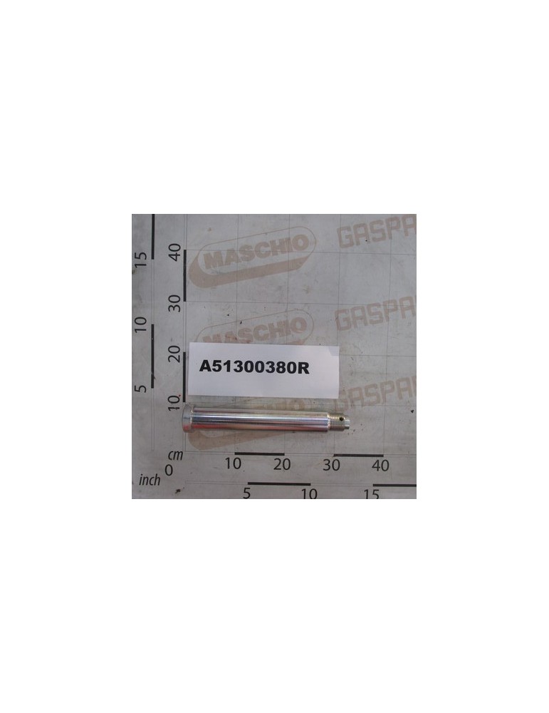 GALV.PIN D.45 L-258 M36X3