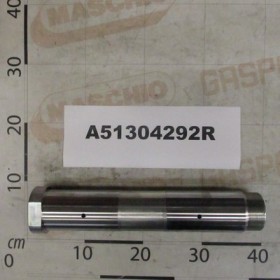 PIN D.65 LG-310 F.M60X2