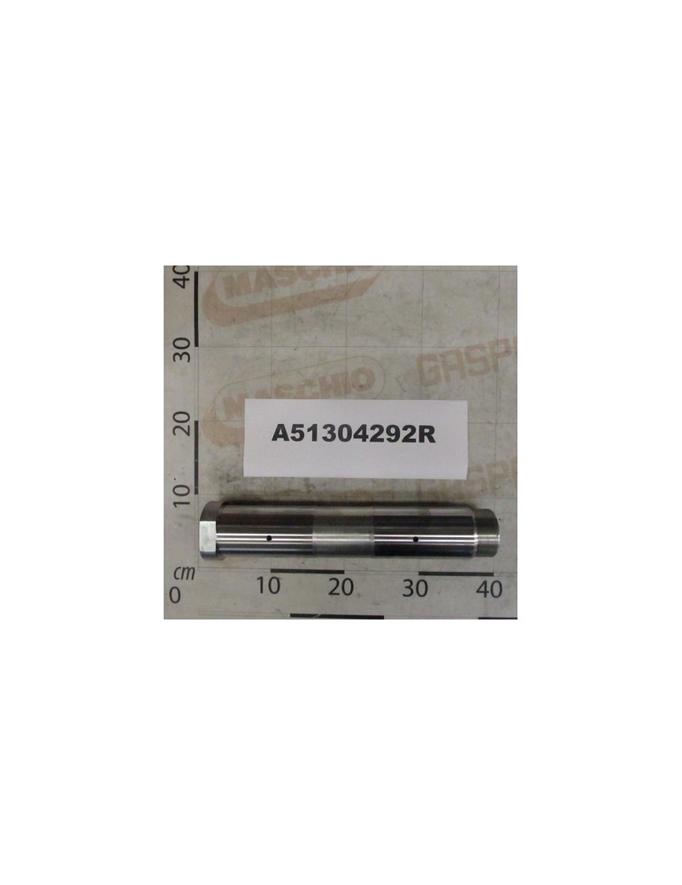 PIN D.65 LG-310 F.M60X2