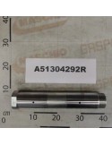 PIN D.65 LG-310 F.M60X2