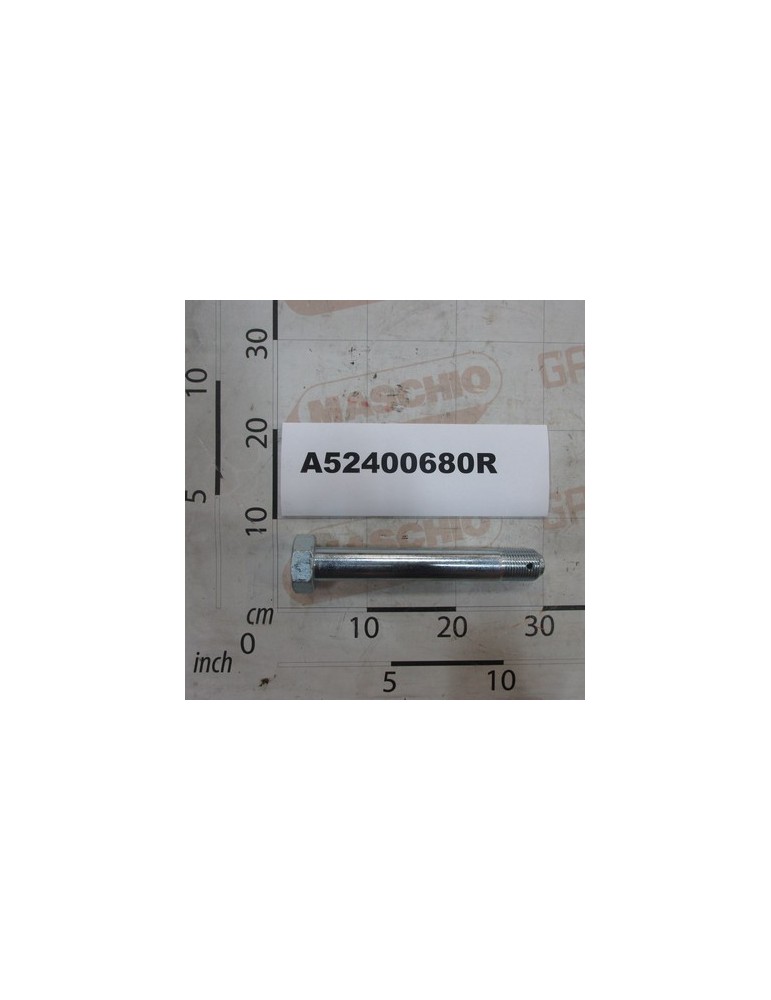 GALV.SCREW M36X3X245 LG-200
