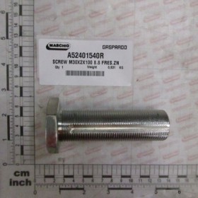 SCREW M30X2X100 8.8 FRES.ZN