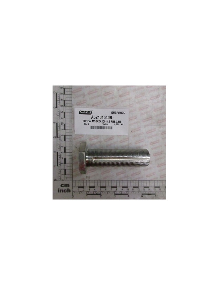 SCREW M30X2X100 8.8 FRES.ZN