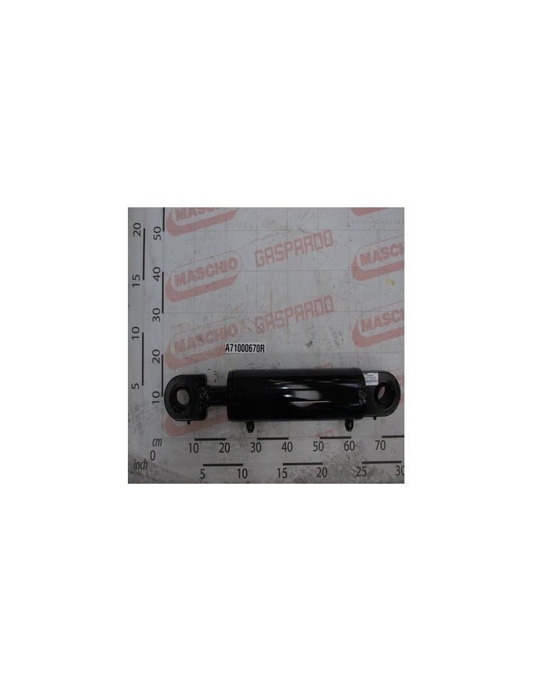HYD.RAM B100 D45 S250 SNI40