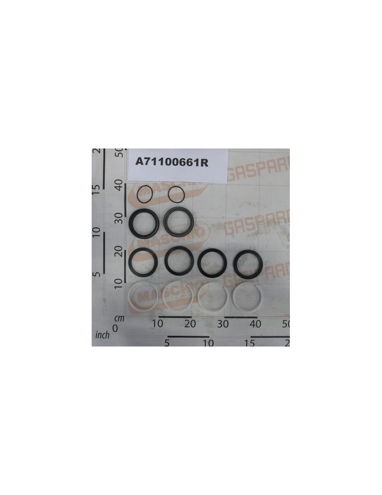 OIL SEAL KIT CYLINDER
