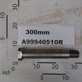 PIN D.40X250 LG-200
