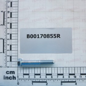 SCREW TE M8X55-10.9