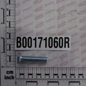 SCREW TE M10X60 10.9