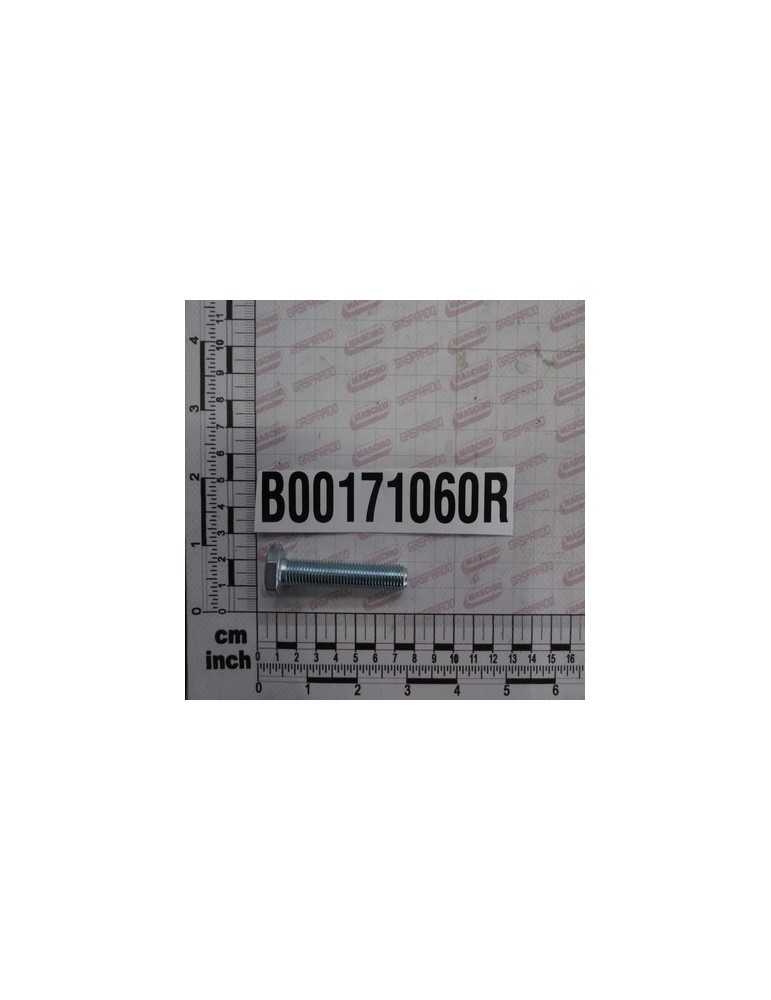 SCREW TE M10X60 10.9
