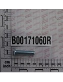 SCREW TE M10X60 10.9