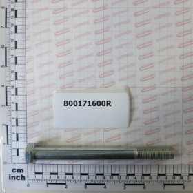 SCREW TE M 16X170-10.9