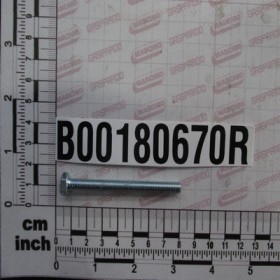 SCREW   TE M 6X 70-8,8 UNI 573
