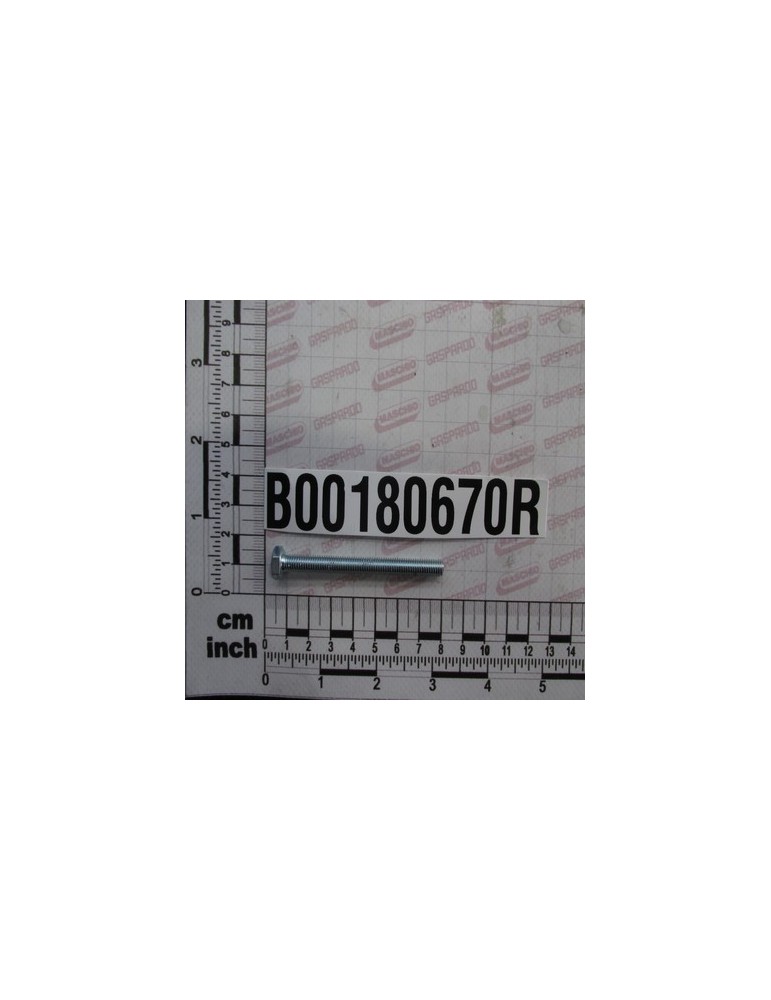 SCREW   TE M 6X 70-8,8 UNI 573