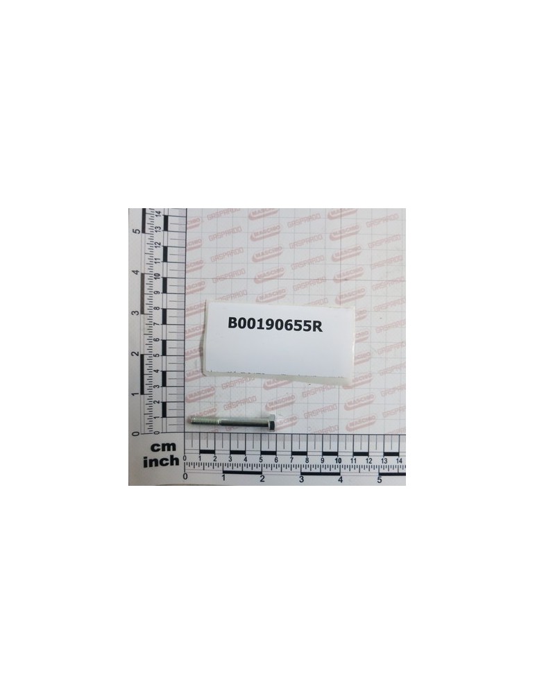 GALVAN. TE SCREW M6X55-8.8